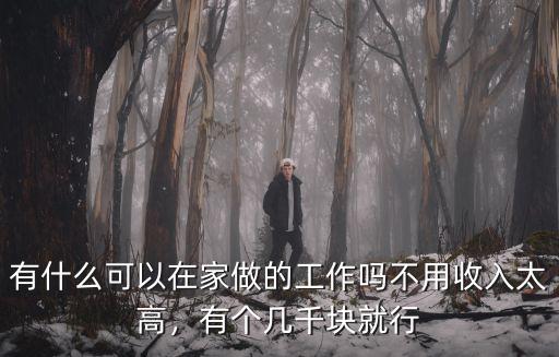 資陽哪里有工作可以拿回家做的,有哪些可以拿回家做的手工活