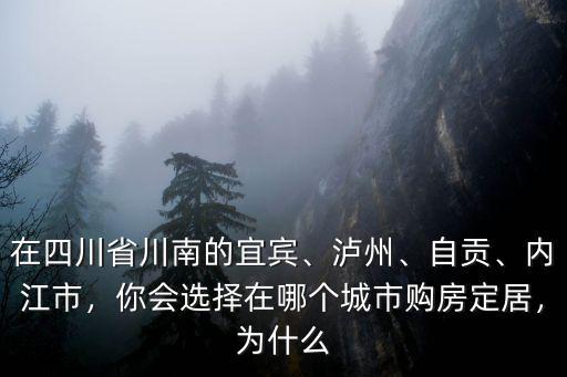 四川川南在哪里,在四川省川南的宜賓