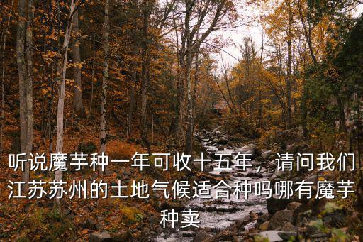 涼山哪里有魔芋種賣,哪有魔芋種賣