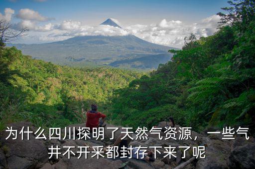 為什么四川探明了天然氣資源，一些氣井不開(kāi)釆都封存下來(lái)了呢