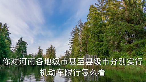你對河南各地級市甚至縣級市分別實行機動車限行怎么看