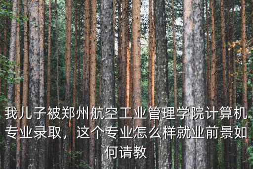 鄭州學(xué)院航空怎么樣,鄭州航空工業(yè)管理學(xué)院怎么樣