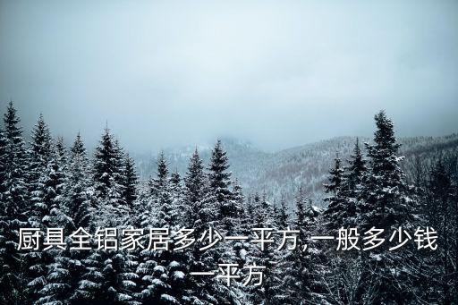新鄉廚具全鋁家居多少一平方,一般多少錢一平方