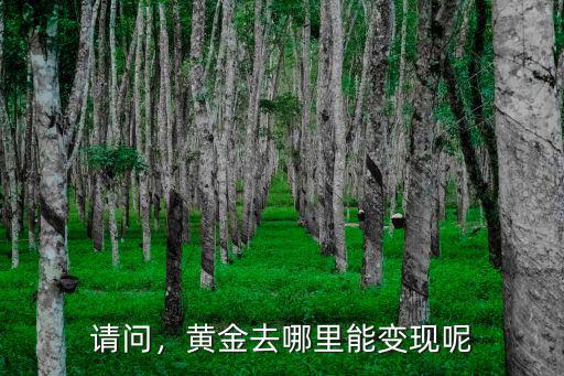 成都金店哪里可以回收黃金,龍泉哪里有回收黃金首飾的