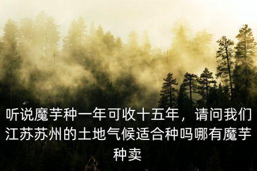 成都哪里賣魔芋種,聽說魔芋種一年可收十五年
