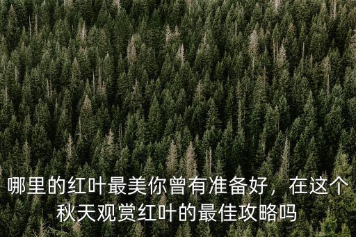 哪里的紅葉最美你曾有準備好，在這個秋天觀賞紅葉的最佳攻略嗎