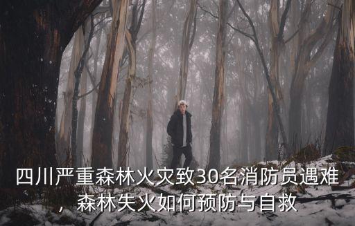 四川哪里森林著火,森林失火如何預防與自救