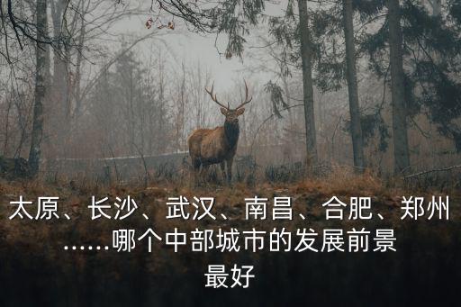 長沙領(lǐng)先鄭州多少,鄭州能否超越長沙