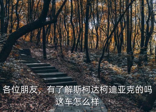 柯迪亞克成都哪里有賣,有了解斯柯達柯迪亞克的嗎