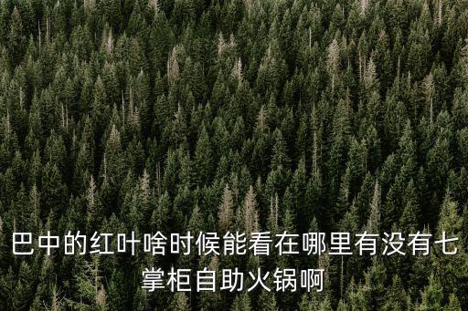 巴中的紅葉啥時候能看在哪里有沒有七掌柜自助火鍋啊