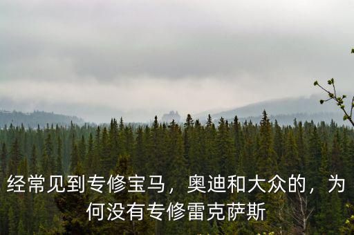 南充哪里有寶馬專修,經常見到專修寶馬