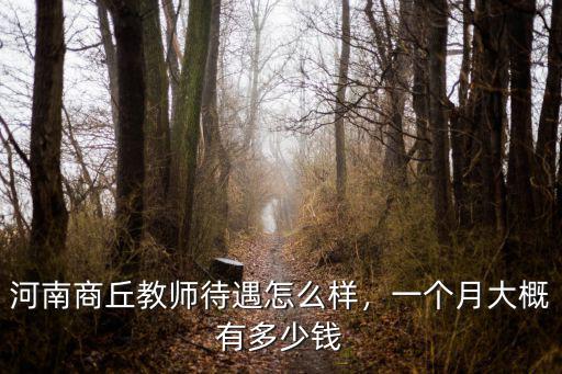 商丘的平均工資大概多少,`河南平均工資是多少