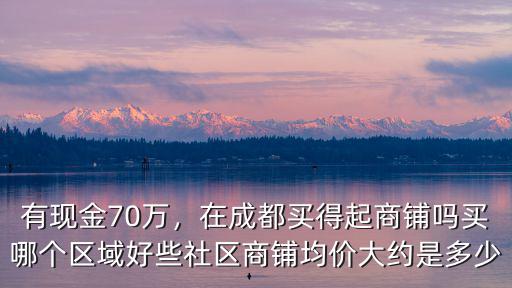成都哪里可以買商鋪,在成都買得起商鋪嗎
