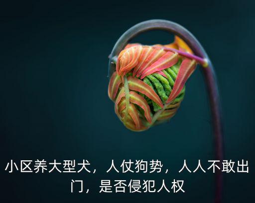 小區養大型犬，人仗狗勢，人人不敢出門，是否侵犯人權