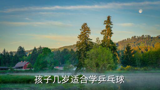 成都兒童哪里學(xué)乒乓球最好,兒童學(xué)輪滑還是乒乓球好
