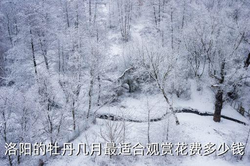 洛陽牡丹醋多少錢,1000塊錢窮游洛陽看牡丹