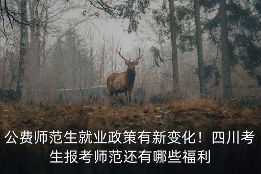 公費師范生就業政策有新變化！四川考生報考師范還有哪些福利