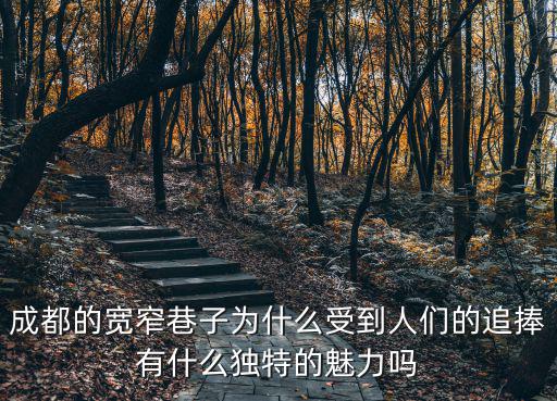 成都的寬窄巷子為什么受到人們的追捧有什么獨特的魅力嗎