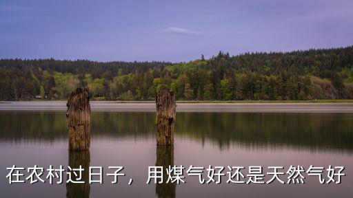在農村過日子，用煤氣好還是天然氣好