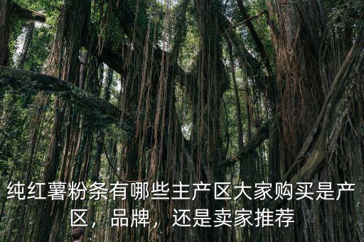 純紅薯粉條有哪些主產區大家購買是產區，品牌，還是賣家推薦