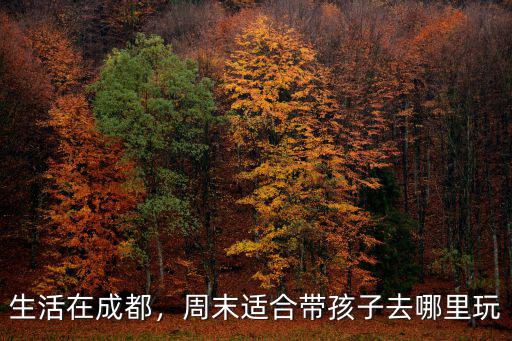 帶孩子去成都哪里逛,周末適合帶孩子去哪里玩