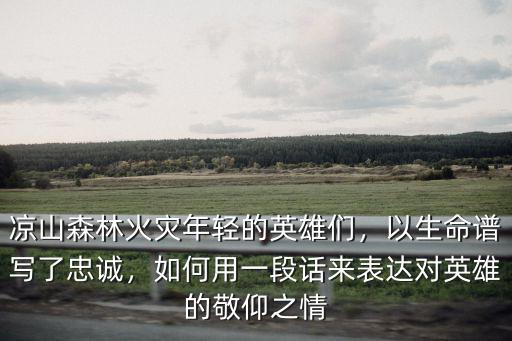 涼山救火英雄分別是哪里人,涼山森林火災(zāi)年輕的英雄們