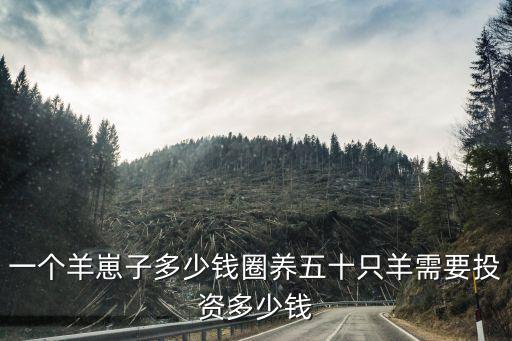一個羊崽子多少錢圈養五十只羊需要投資多少錢