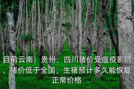 目前云南，貴州，四川豬價受瘟疫影響，豬價低于全國，生豬預計多久能恢復正常價格