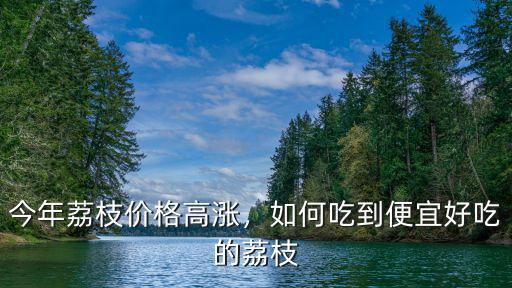 今年荔枝價(jià)格高漲，如何吃到便宜好吃的荔枝