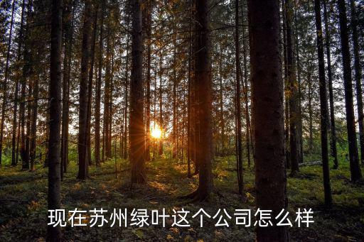 綠葉開封直營店怎么樣,現在蘇州綠葉這個公司怎么樣