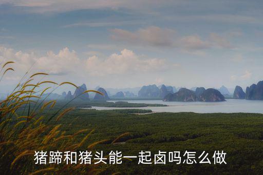 德陽鹵豬蹄哪里學,如何學做好吃的鹵豬蹄