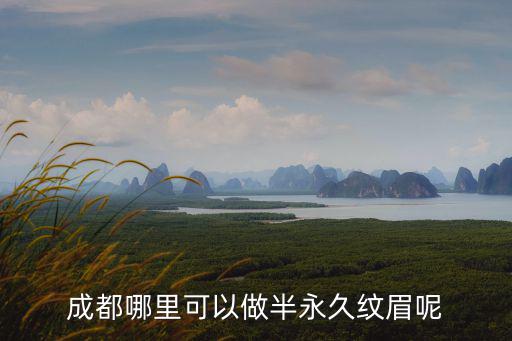 成都哪里可以學(xué)手工皮藝制作,成都哪里可以做半永久紋眉呢