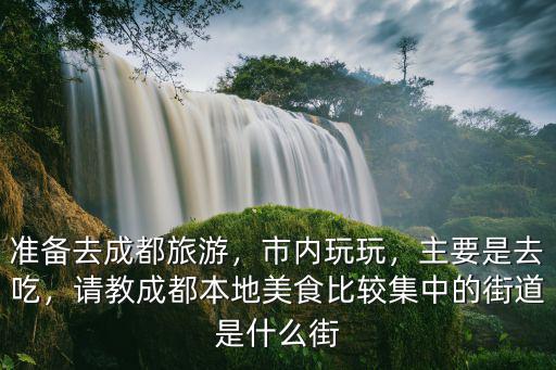 準備去成都旅游，市內玩玩，主要是去吃，請教成都本地美食比較集中的街道是什么街