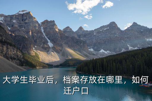 南充大學(xué)生檔案放在哪里,檔案存放在哪里