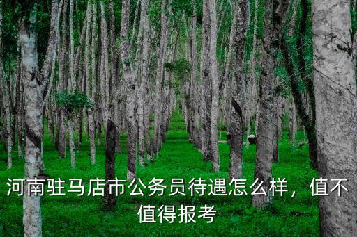 河南駐馬店市公務員待遇怎么樣，值不值得報考