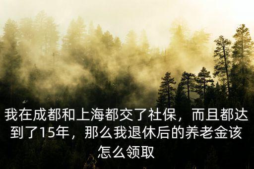成都社保在哪里辦理退休手續,退休后社保算哪里的