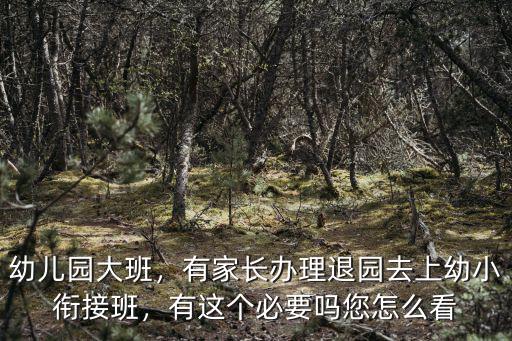 德陽市哪里有幼小銜接班,幼小銜接和幼兒園有區別嗎