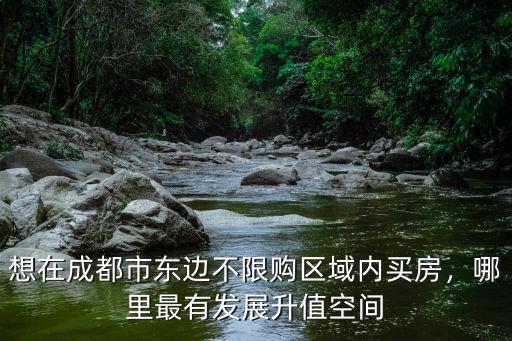 想在成都市東邊不限購區域內買房，哪里最有發展升值空間