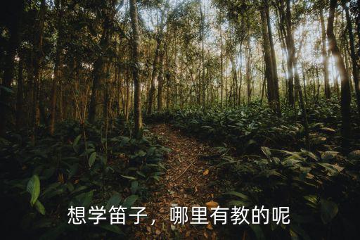 成都學(xué)笛子在哪里學(xué)6,笛子到底有多難學(xué)
