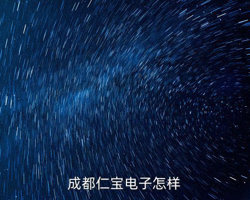 成都仁寶電子怎樣