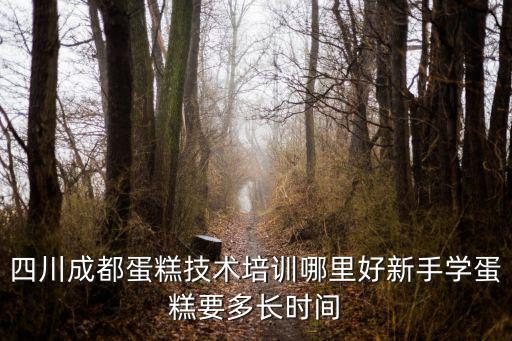 四川成都蛋糕技術培訓哪里好新手學蛋糕要多長時間