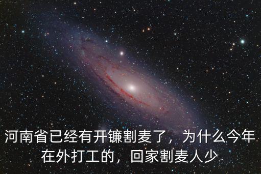 河南哪里有手割麥,回家割麥人少