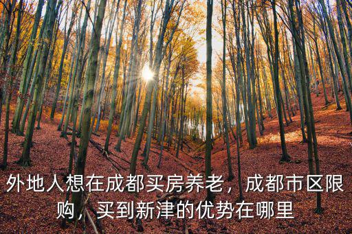 成都新津哪里買房最實惠,成都新津和綿陽買房哪里好