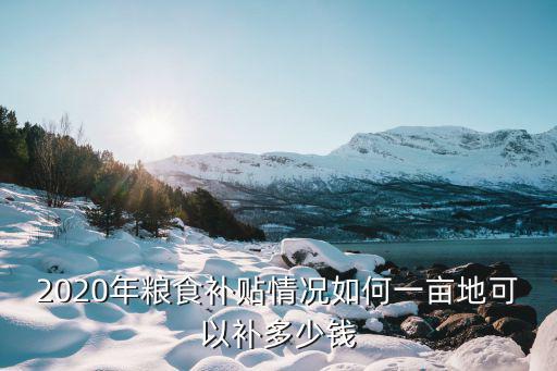 河南省2020年糧食直補一畝多少錢,一畝地可以補多少錢