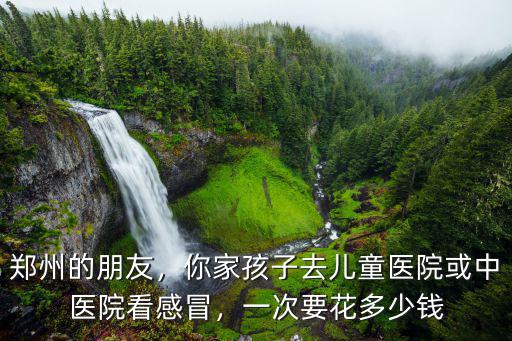 鄭州的朋友，你家孩子去兒童醫(yī)院或中醫(yī)院看感冒，一次要花多少錢