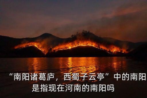 “南陽諸葛廬，西蜀子云亭”中的南陽是指現在河南的南陽嗎