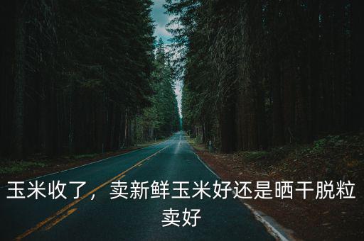 開封哪里賣新鮮玉米,玉米是賣新鮮的劃算