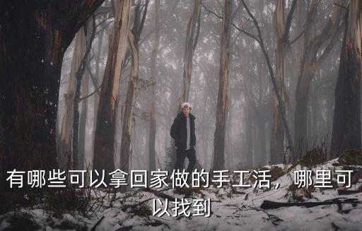 有哪些可以拿回家做的手工活，哪里可以找到