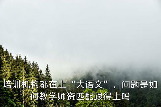 培訓(xùn)機(jī)構(gòu)都在上“大語(yǔ)文”，問(wèn)題是如何教學(xué)師資匹配跟得上嗎