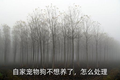 自家寵物狗不想養了，怎么處理